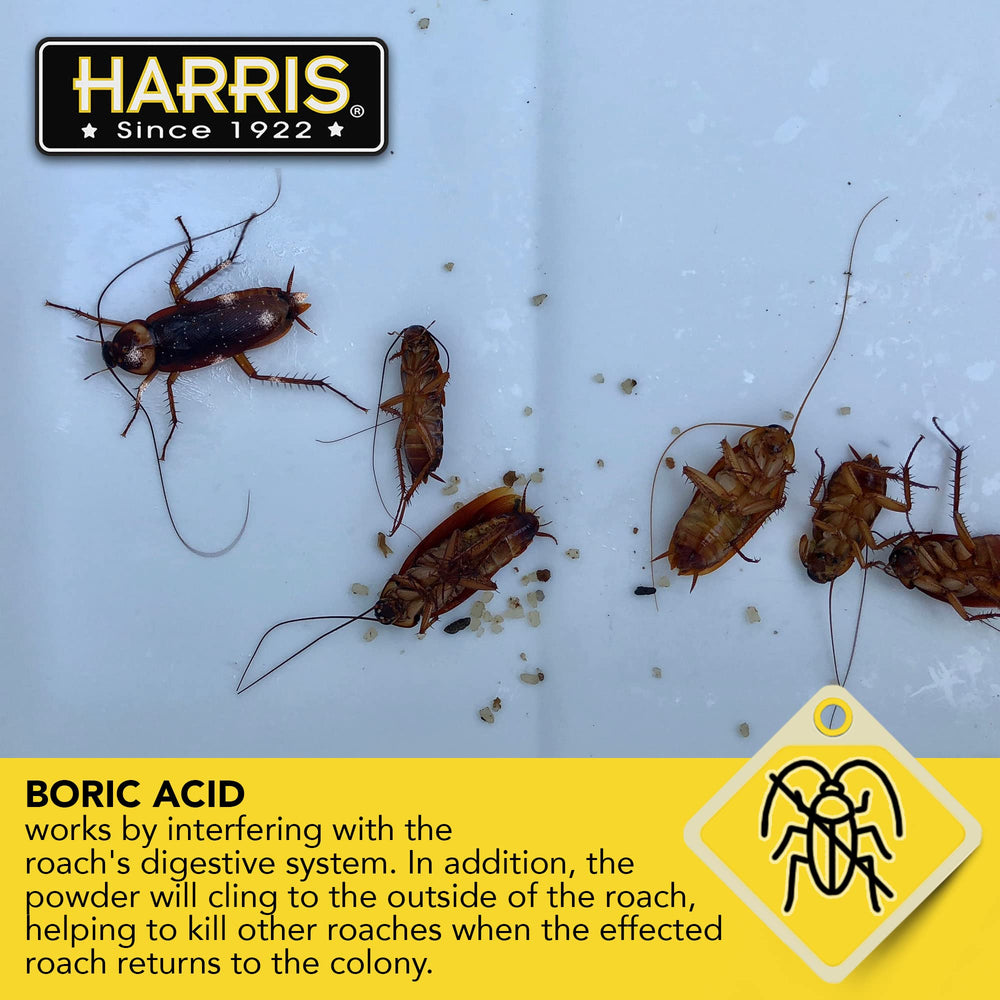 HARRIS Boric Acid Roach Killer Powder packaging details