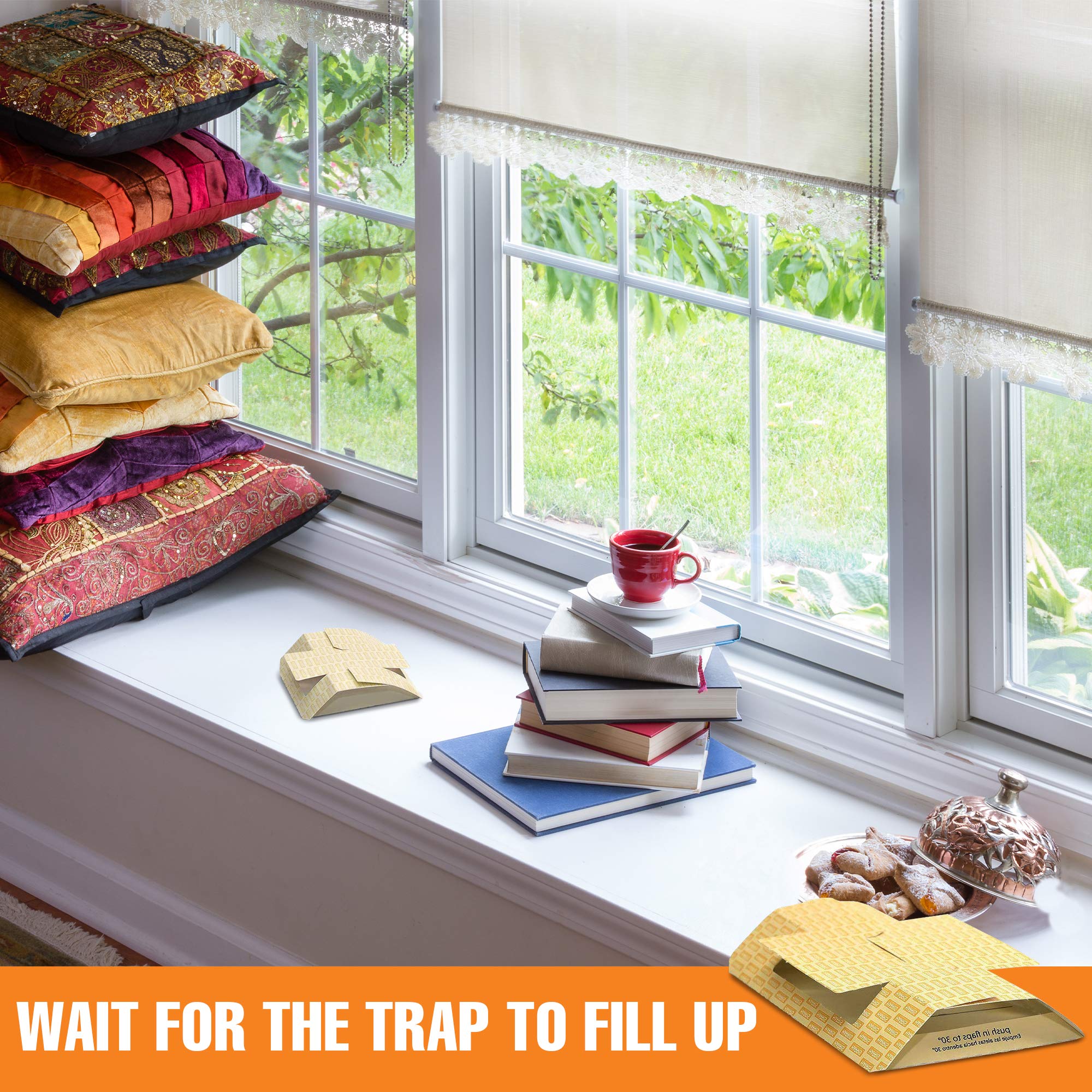 HARRIS Cricket Glue Trap in a commercial setting