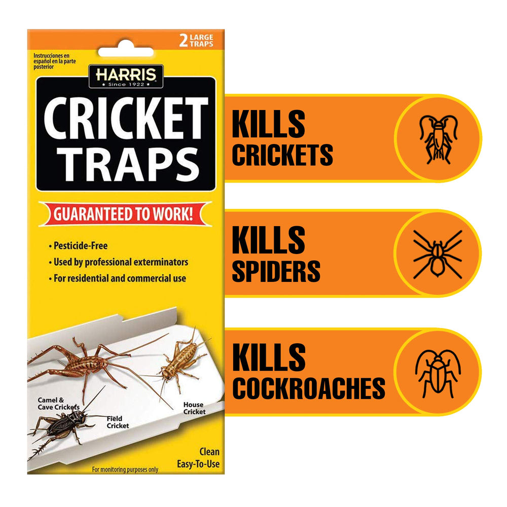 HARRIS Cricket Glue Trap placed discreetly under furniture