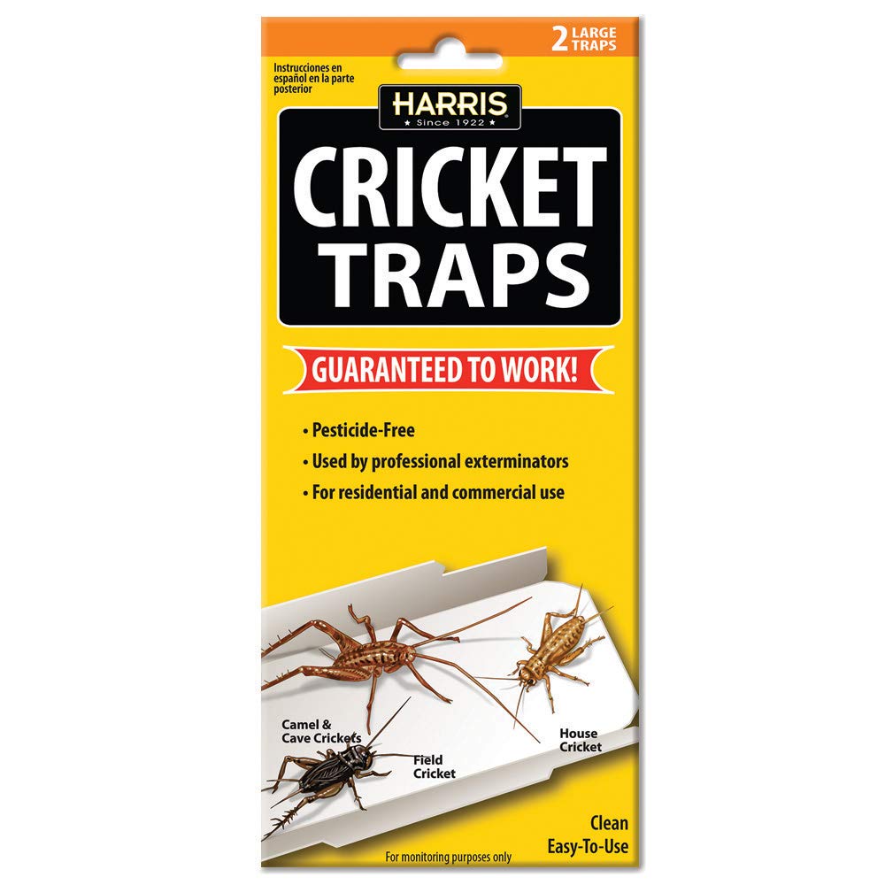 HARRIS Cricket Glue Traps 2-Pack front view with yellow colour