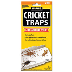 HARRIS Cricket Glue Traps 2-Pack front view with yellow colour
