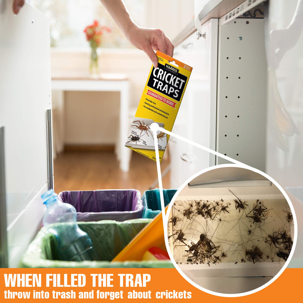 HARRIS Cricket Glue Traps dimensions and packaging details
