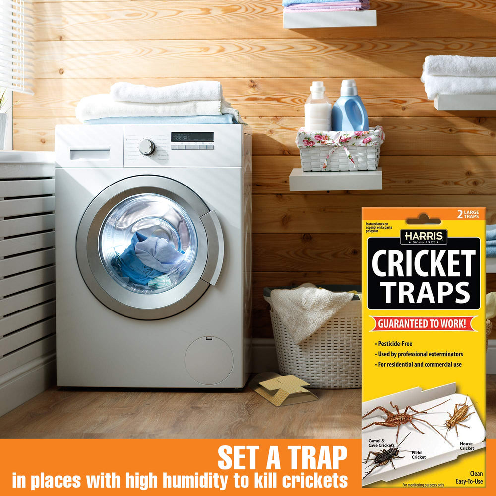 HARRIS Cricket Glue Traps pack showing two traps