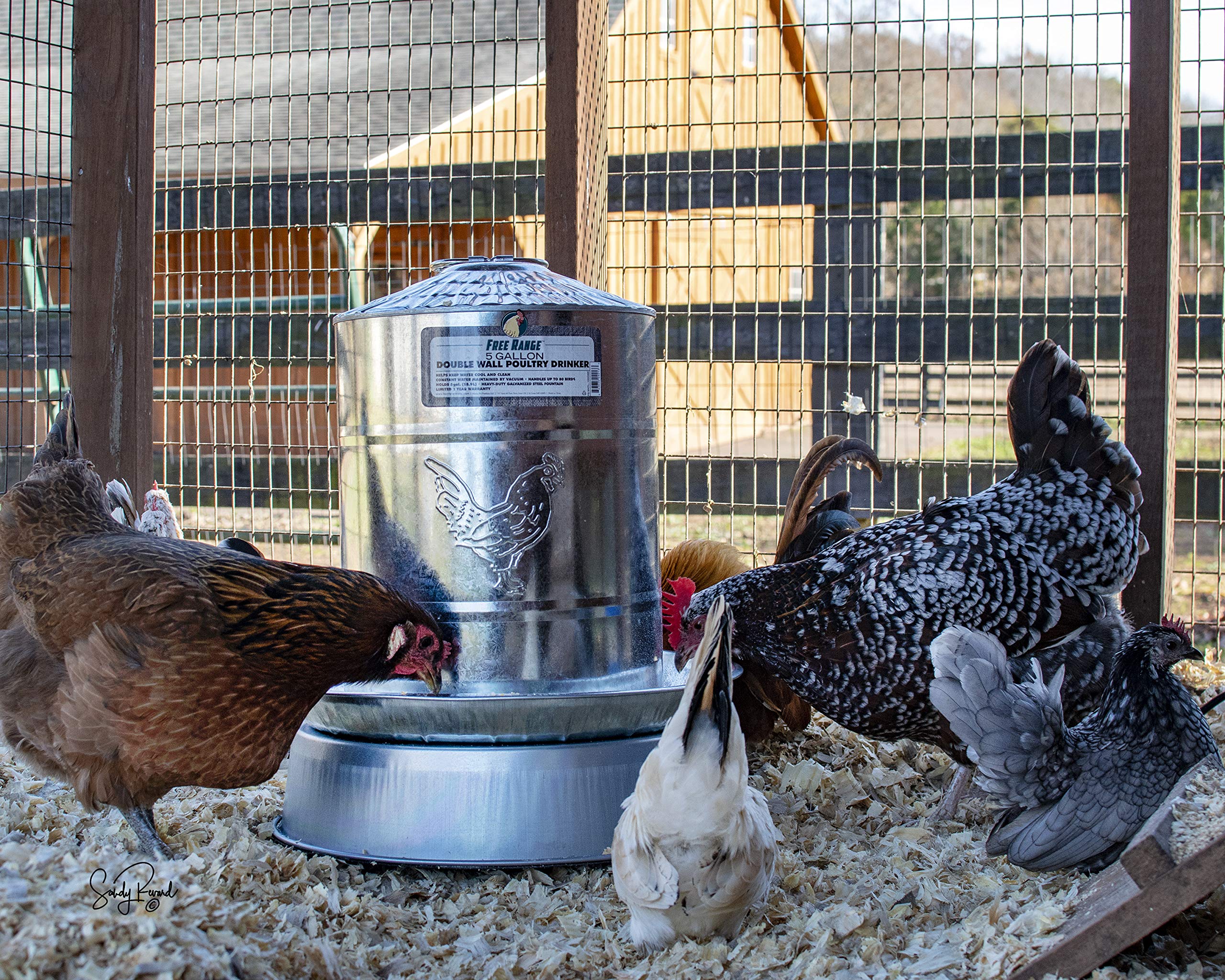 Harris Farms Heated Poultry Drinker Base showing thermostatic control