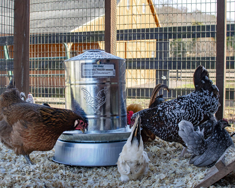 Harris Farms Heated Poultry Drinker Base showing thermostatic control