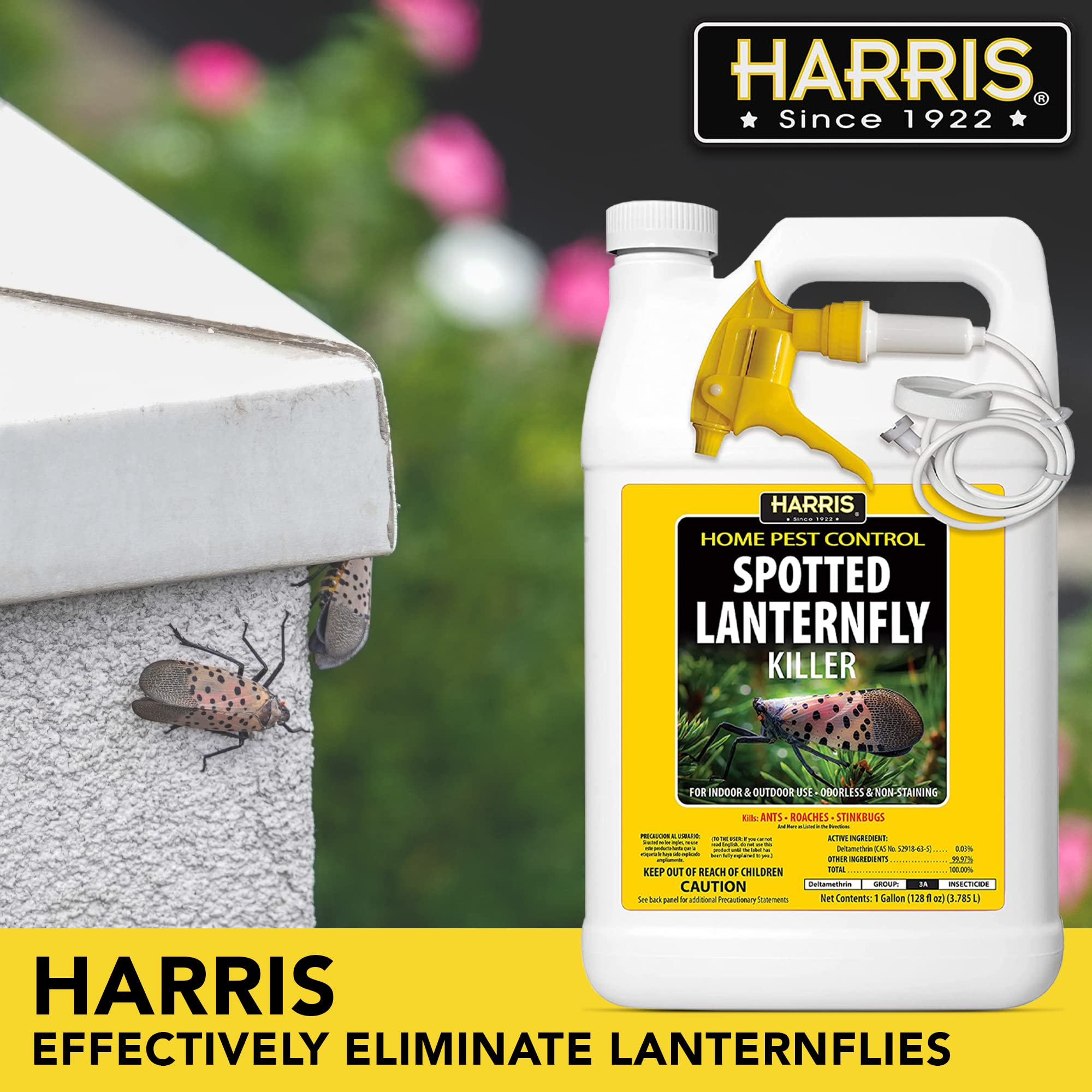 HARRIS Spotted Lantern Fly Killer 128oz extended trigger sprayer