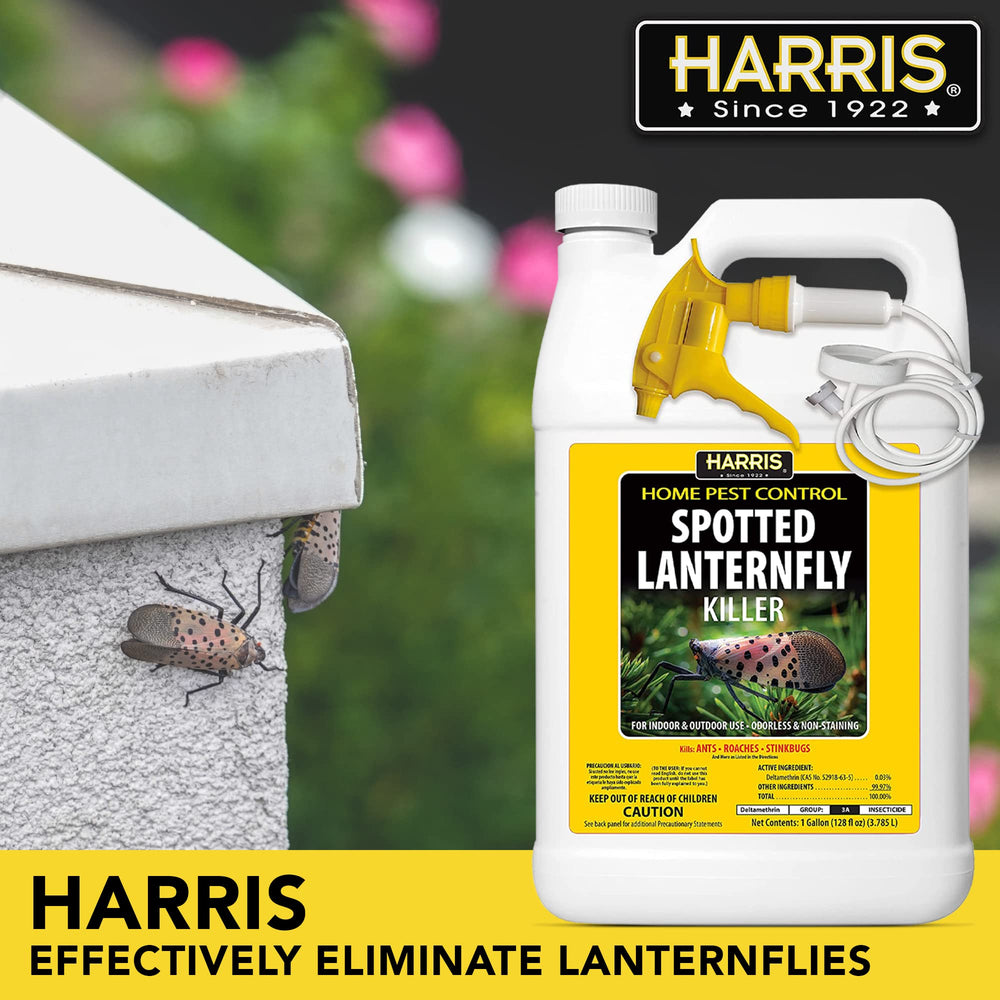 HARRIS Spotted Lantern Fly Killer 128oz extended trigger sprayer