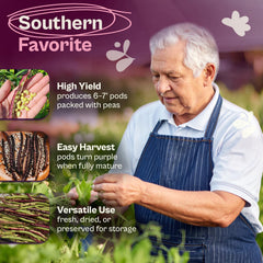 Harvested Mississippi Pinkeye Purplehull peas on a plate