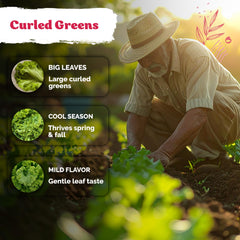 Harvested Southern Giant Curly Mustard Greens in a bowl