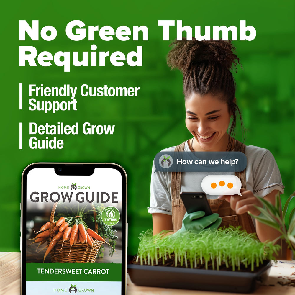 Harvested Tendersweet Carrots in a basket