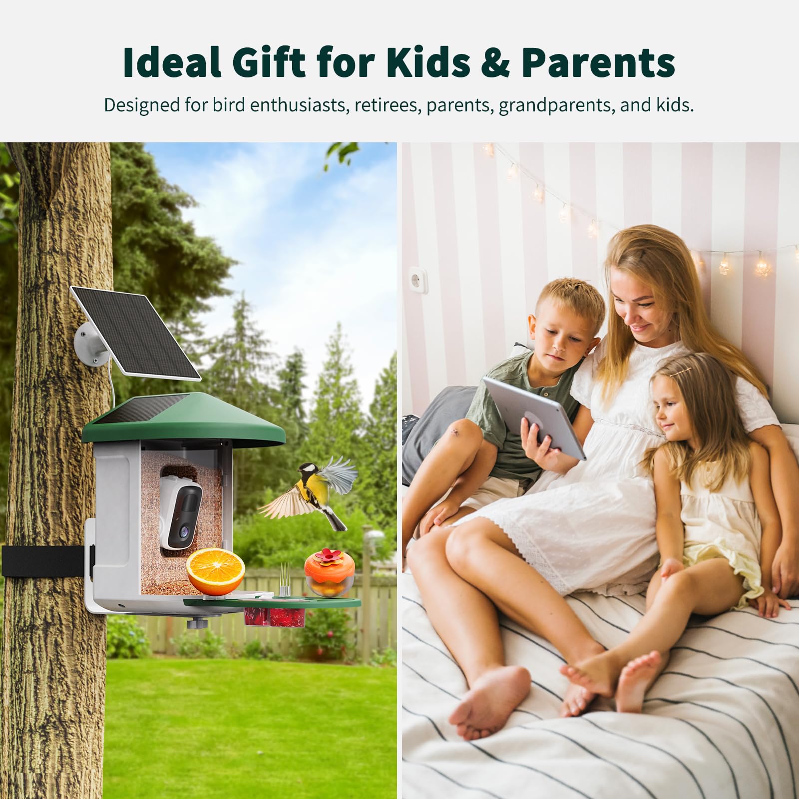 HARYMOR bird feeder camera mounted in garden