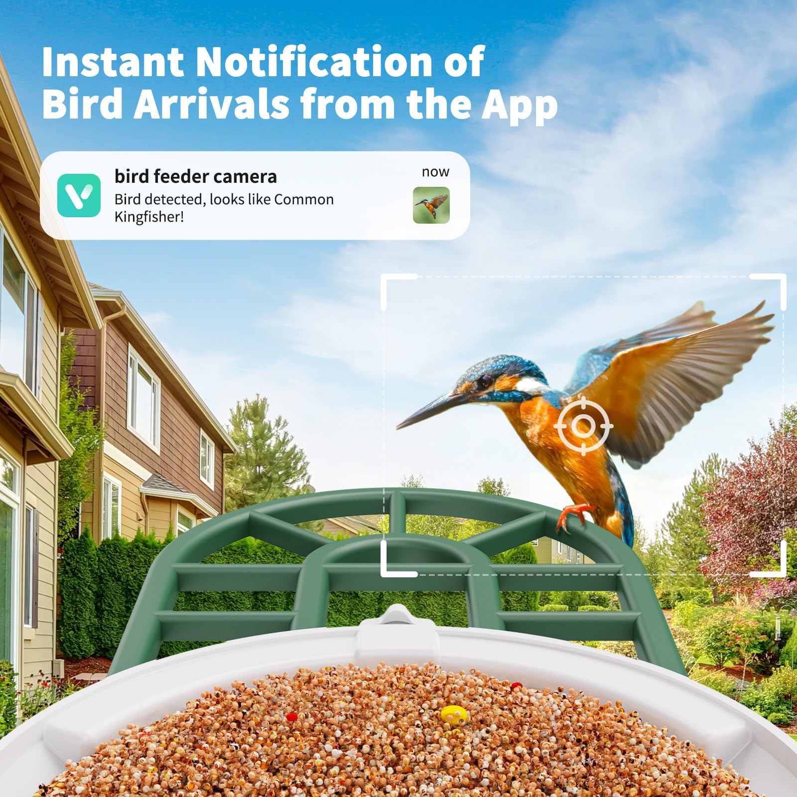 HARYMOR bird feeder during day with birds