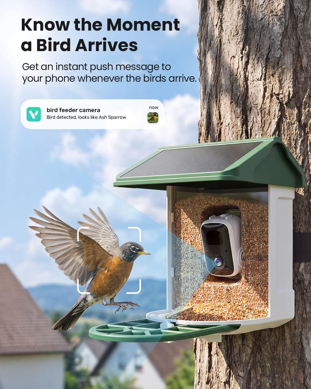 HARYMOR Bird Feeder with detachable mini hummingbird feeder