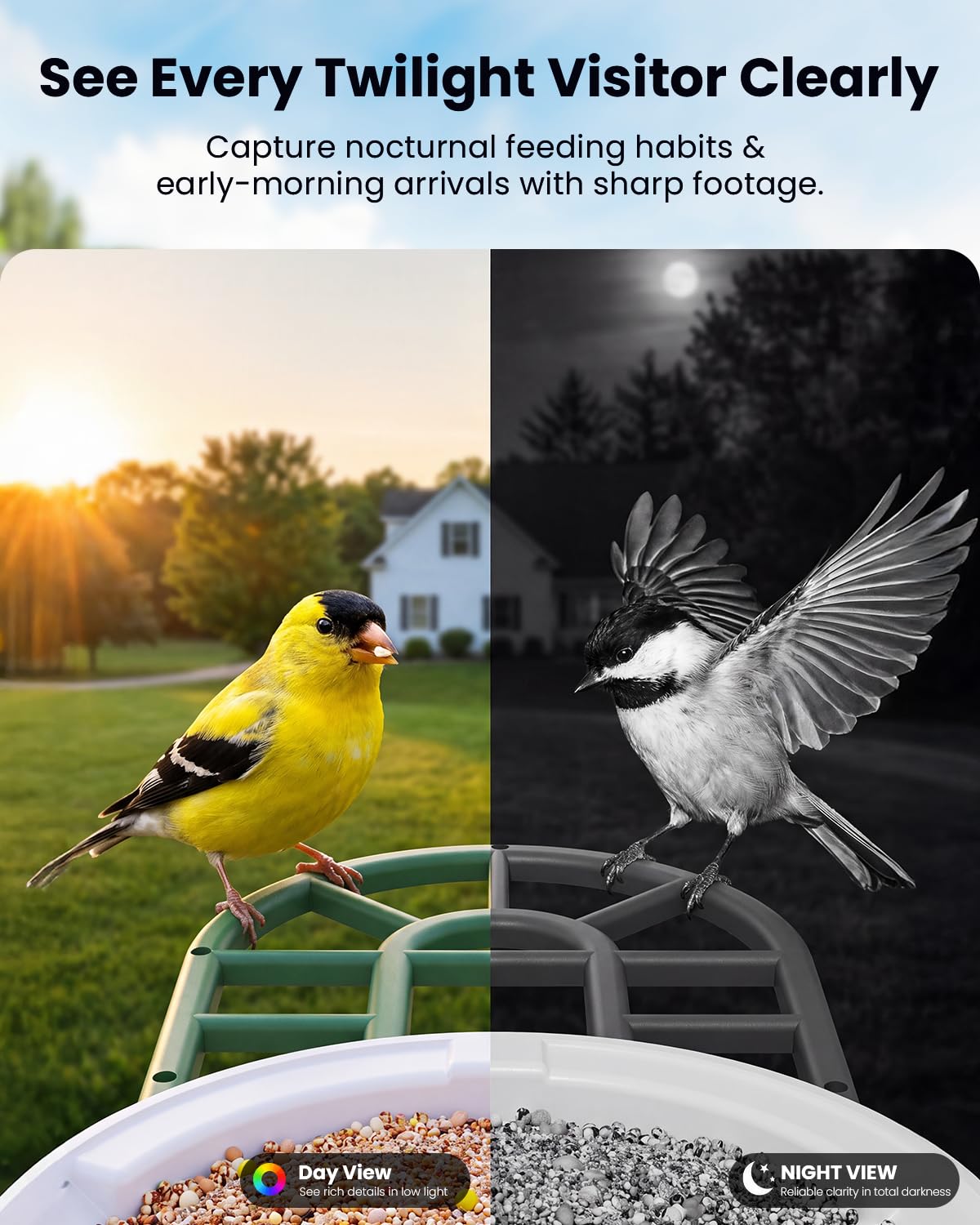 HARYMOR Bird Feeder with solar panel for year-round operation