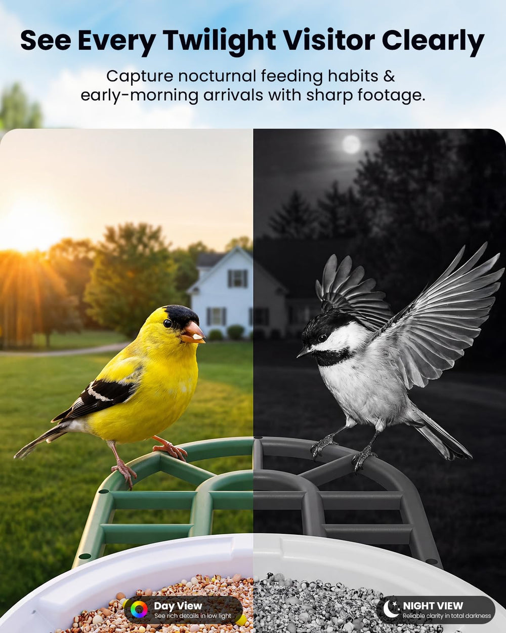 HARYMOR Bird Feeder with solar panel for year-round operation