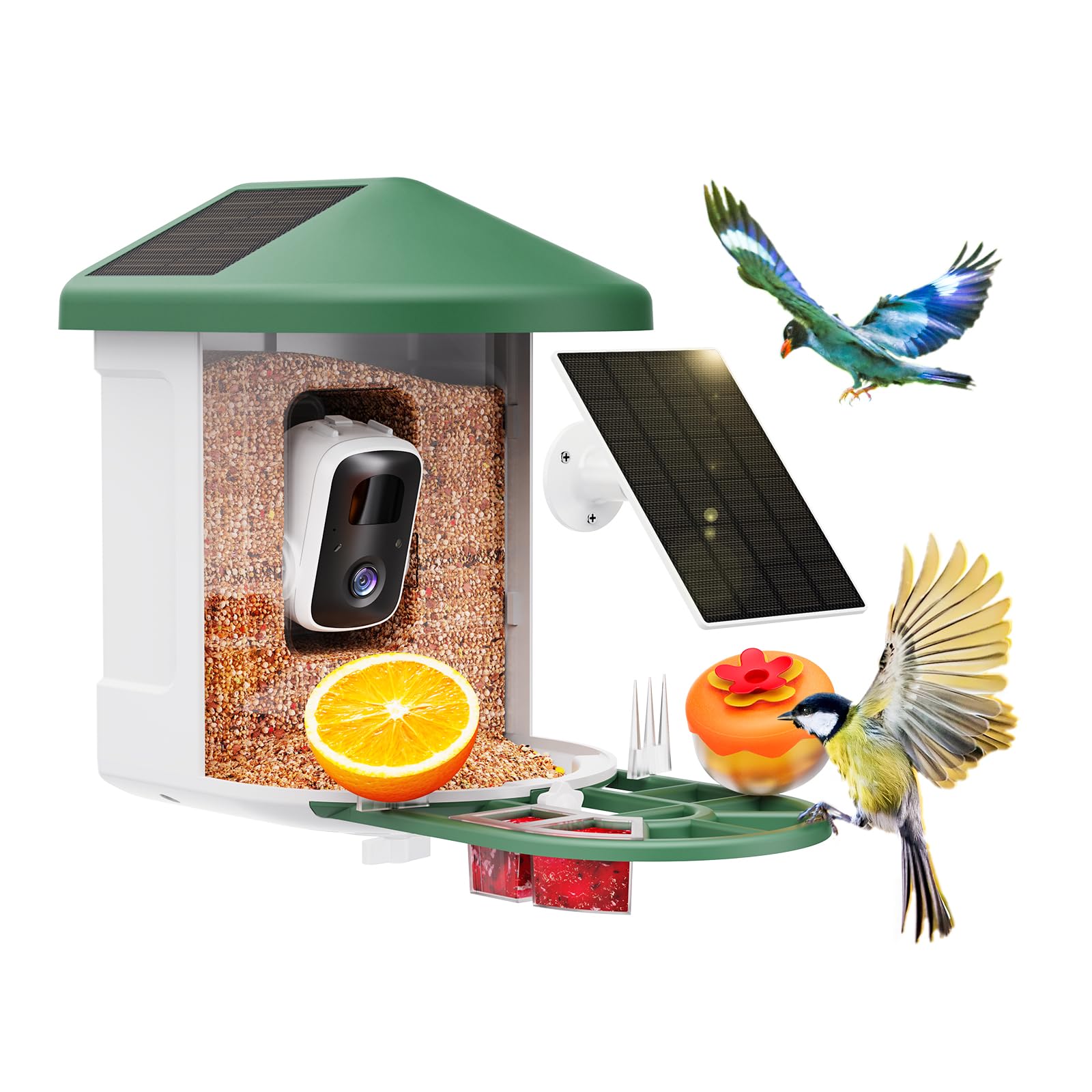 HARYMOR Smart Bird Feeder Camera front view in green