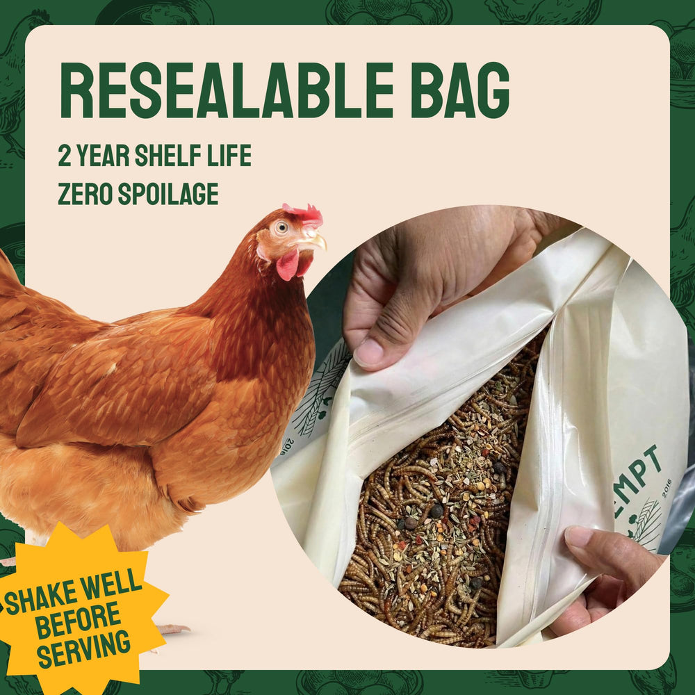 Hatortempt Dried Mealworms alongside other chicken