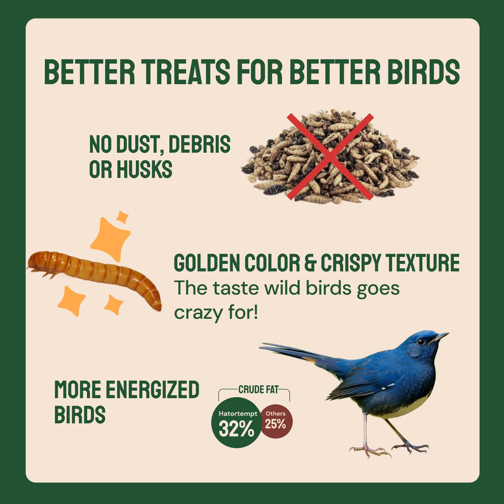 Hatortempt dried mealworms being scattered on the ground for birds