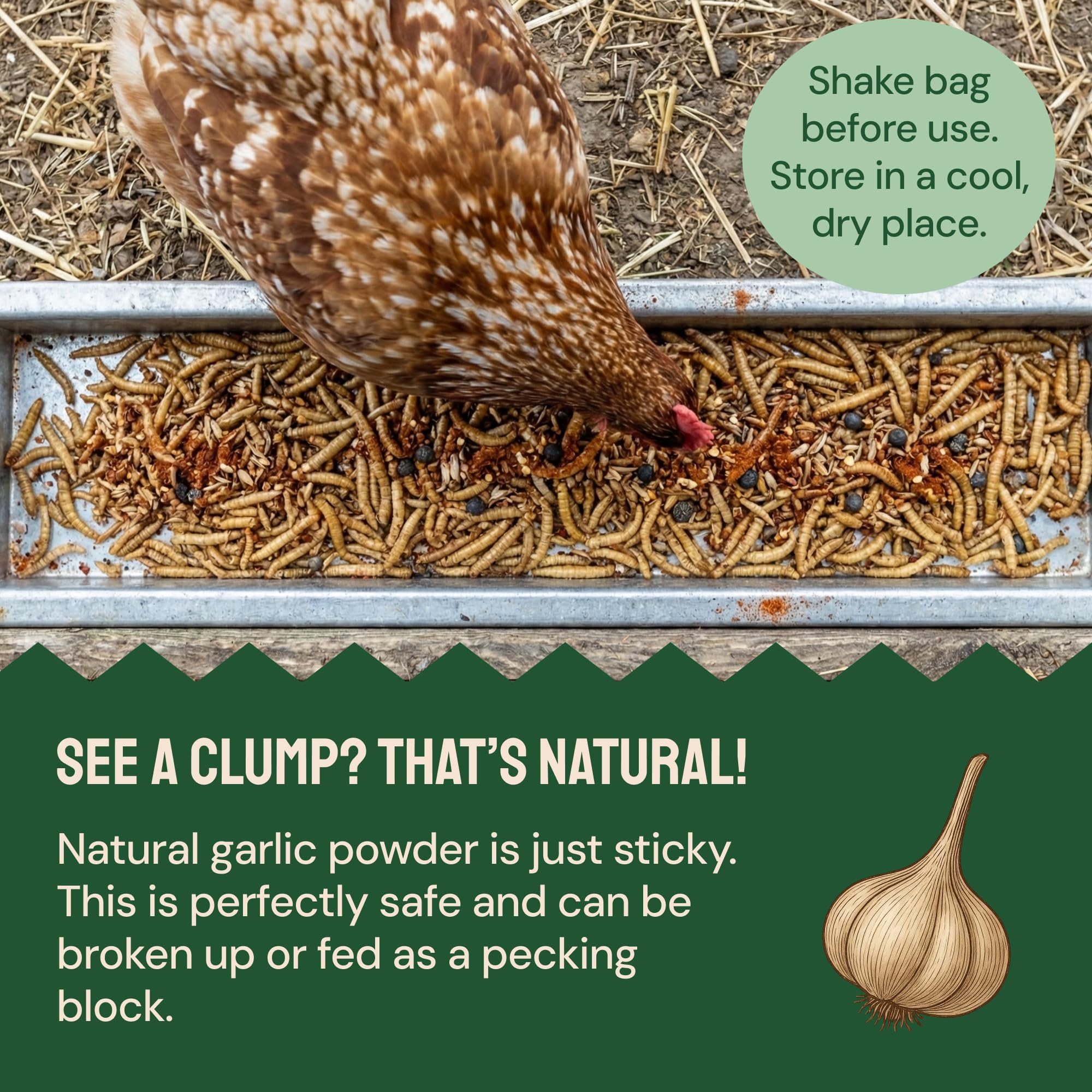 Hatortempt Dried Mealworms in a bowl for feeding