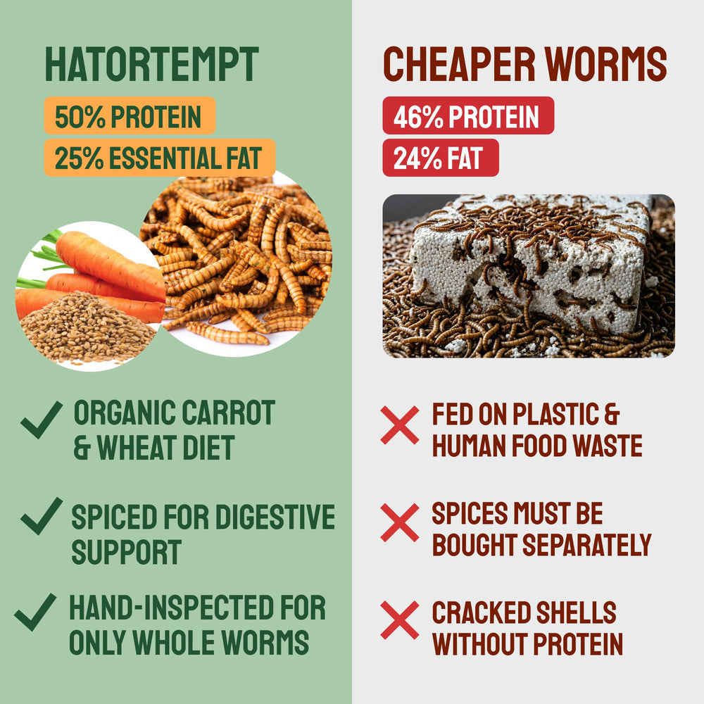 Hatortempt Dried Mealworms in garden setting