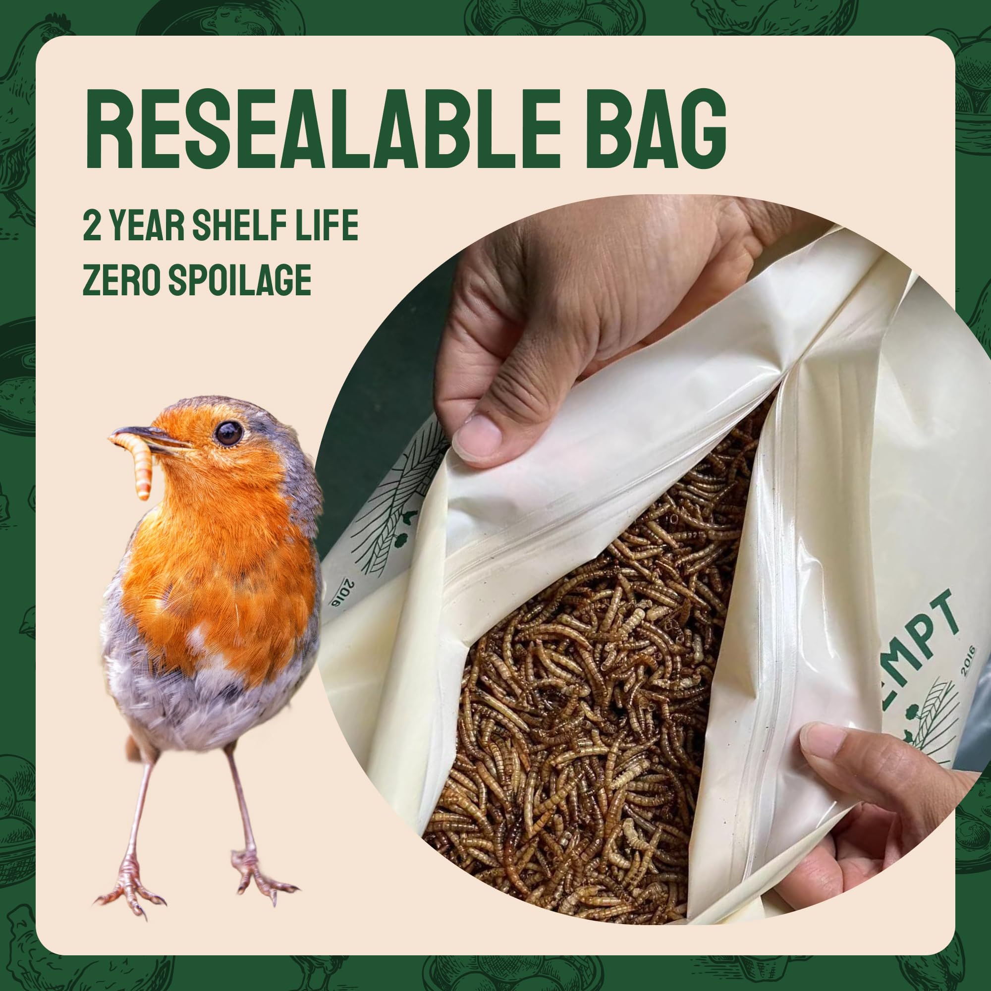 Hatortempt mealworms in a tray feeder with various birds