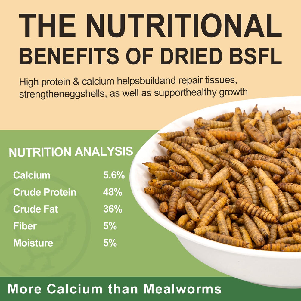 HATORTOP Dried Black Soldier Fly Larvae granules close-up