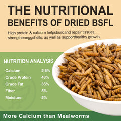HATORTOP Dried Black Soldier Fly Larvae granules close-up
