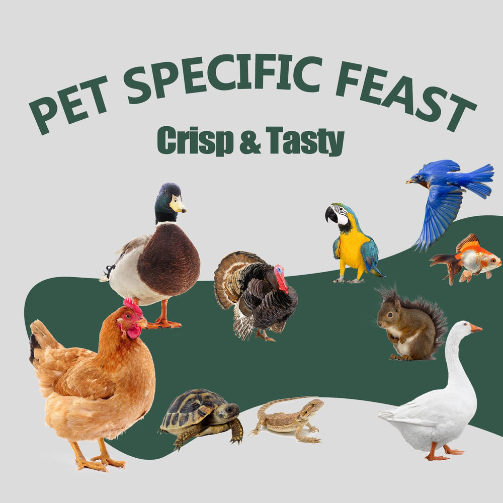HATORTOP Dried Black Soldier Fly Larvae shown with other chicken feed
