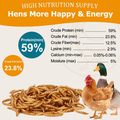 HATORTOP Dried Mealworms for chickens and birds