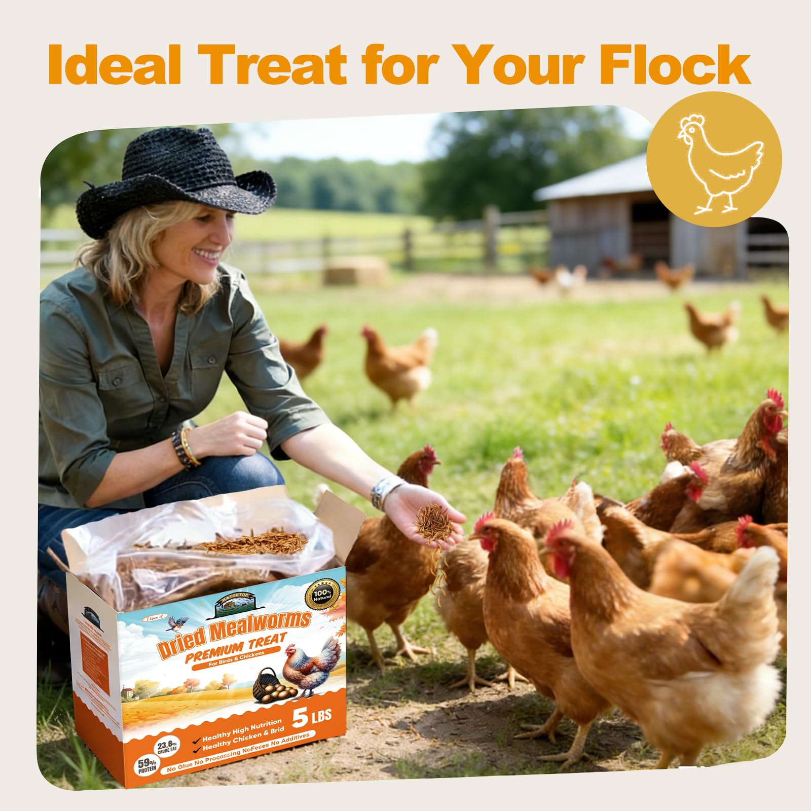 HATORTOP Dried Mealworms in outdoor feeding setup