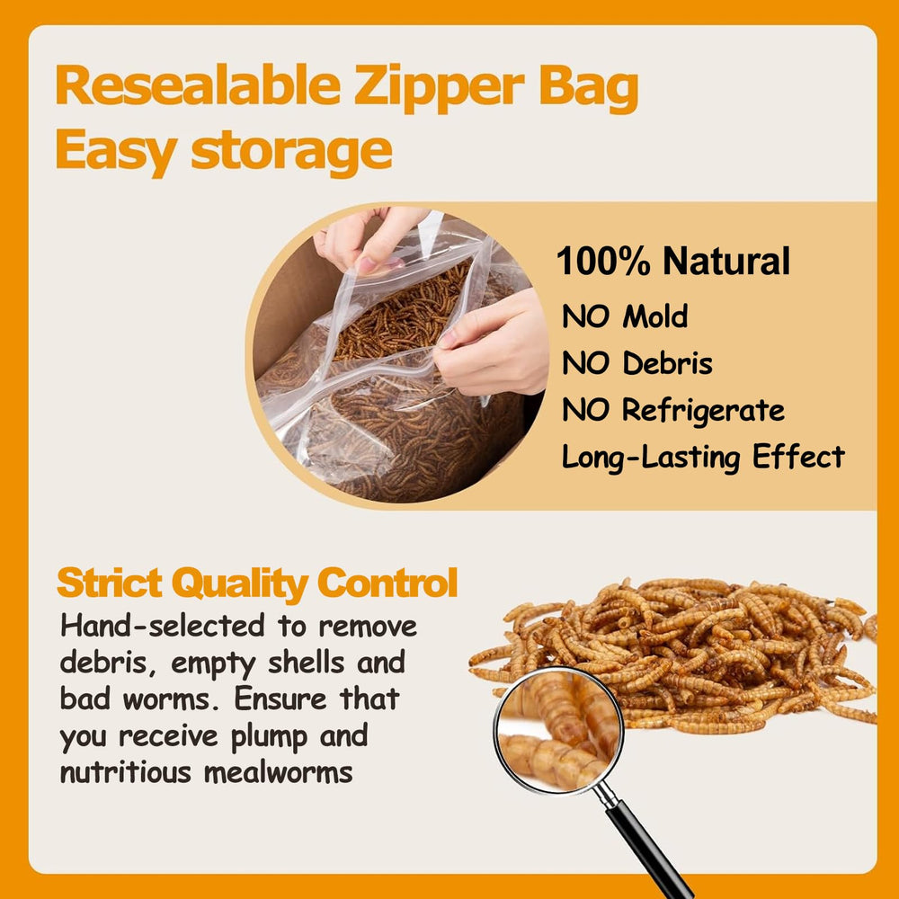 HATORTOP Dried Mealworms with various bird species