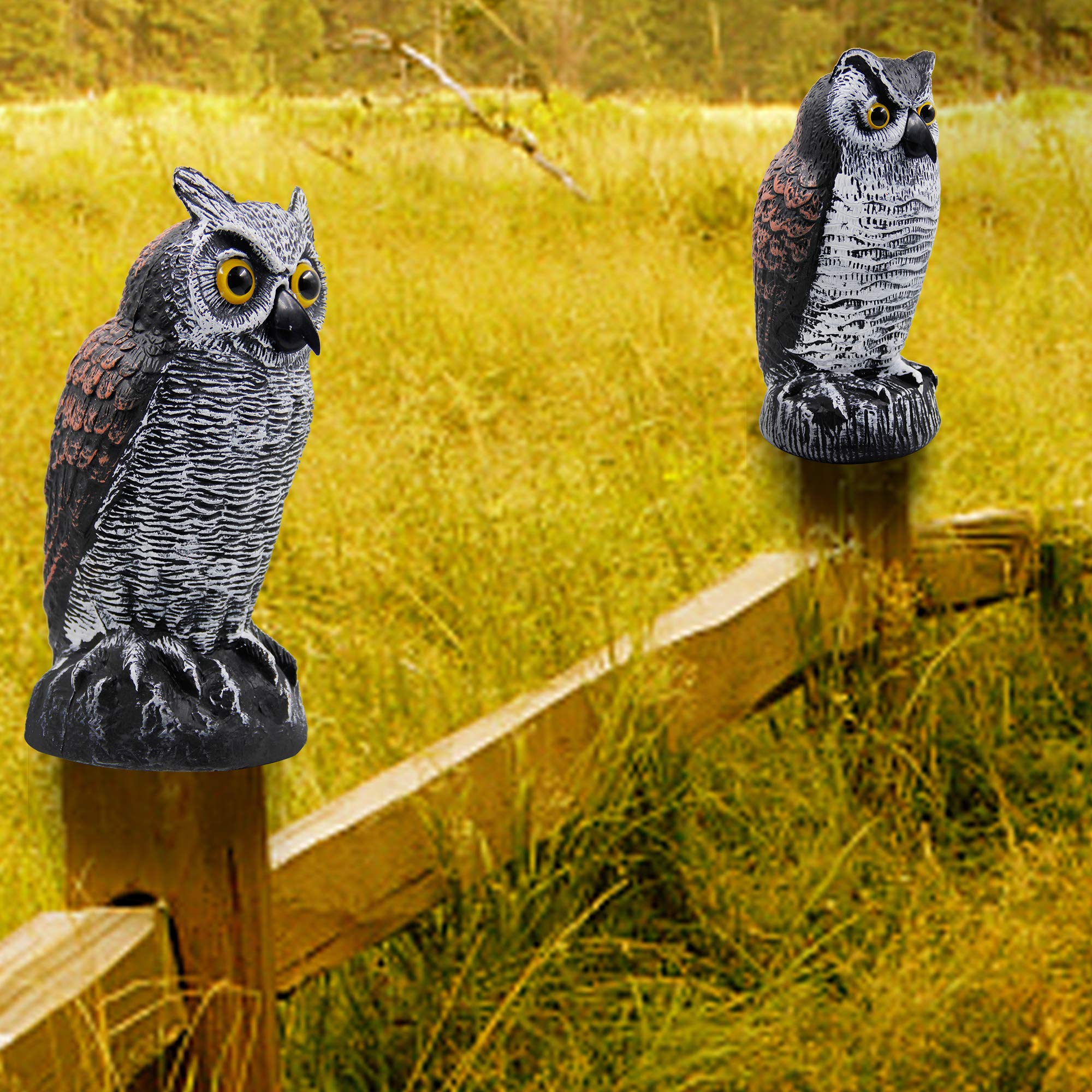 Hausse Horned Owl Decoy set on garden patio