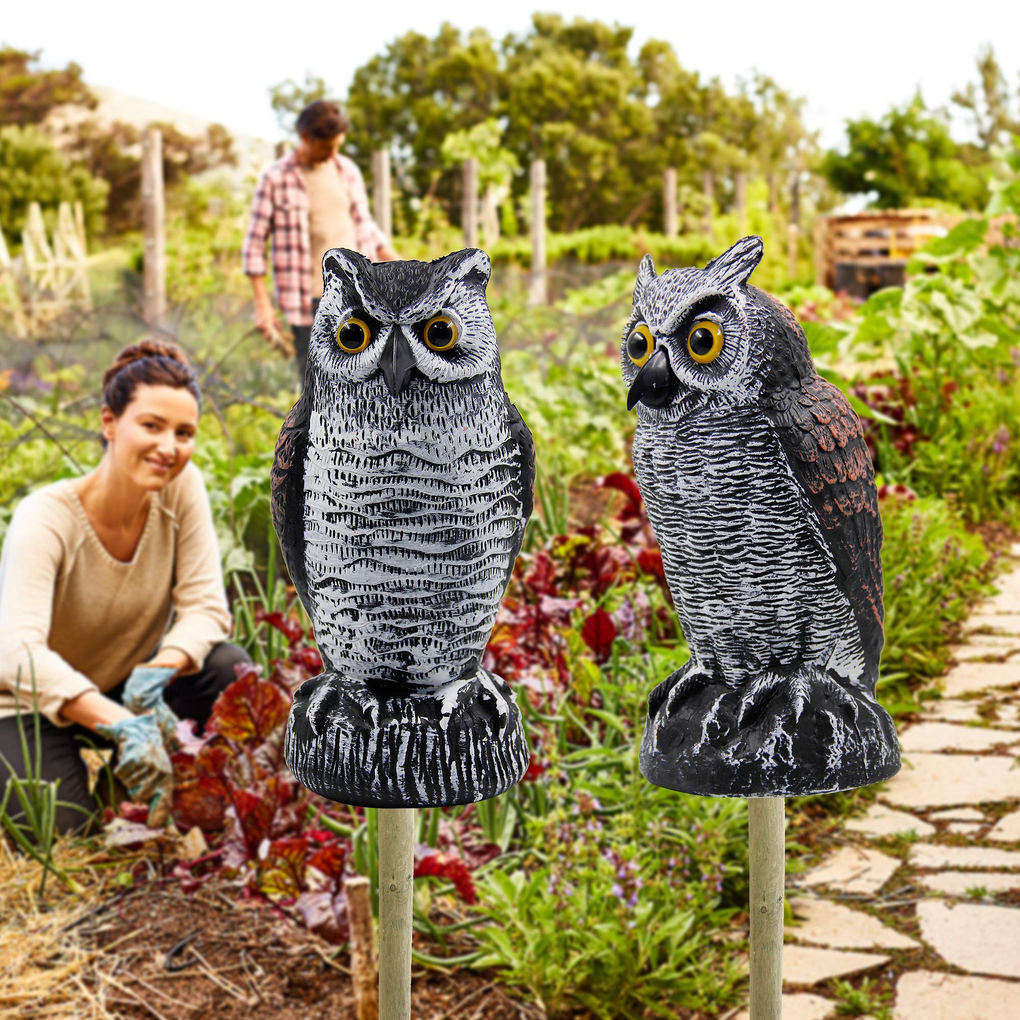 Hausse Horned Owl Decoy with sand-filled base for stability