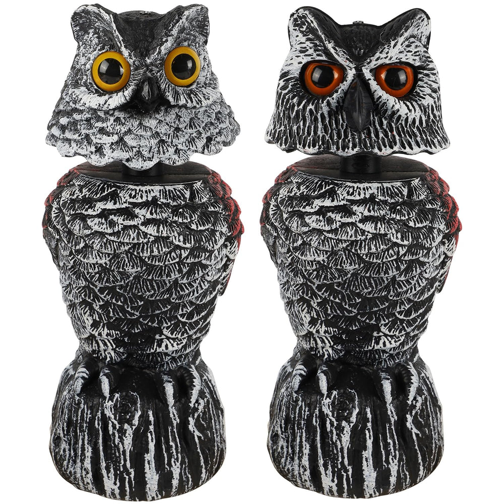 Hausse owl decoy decoration in indoor setting