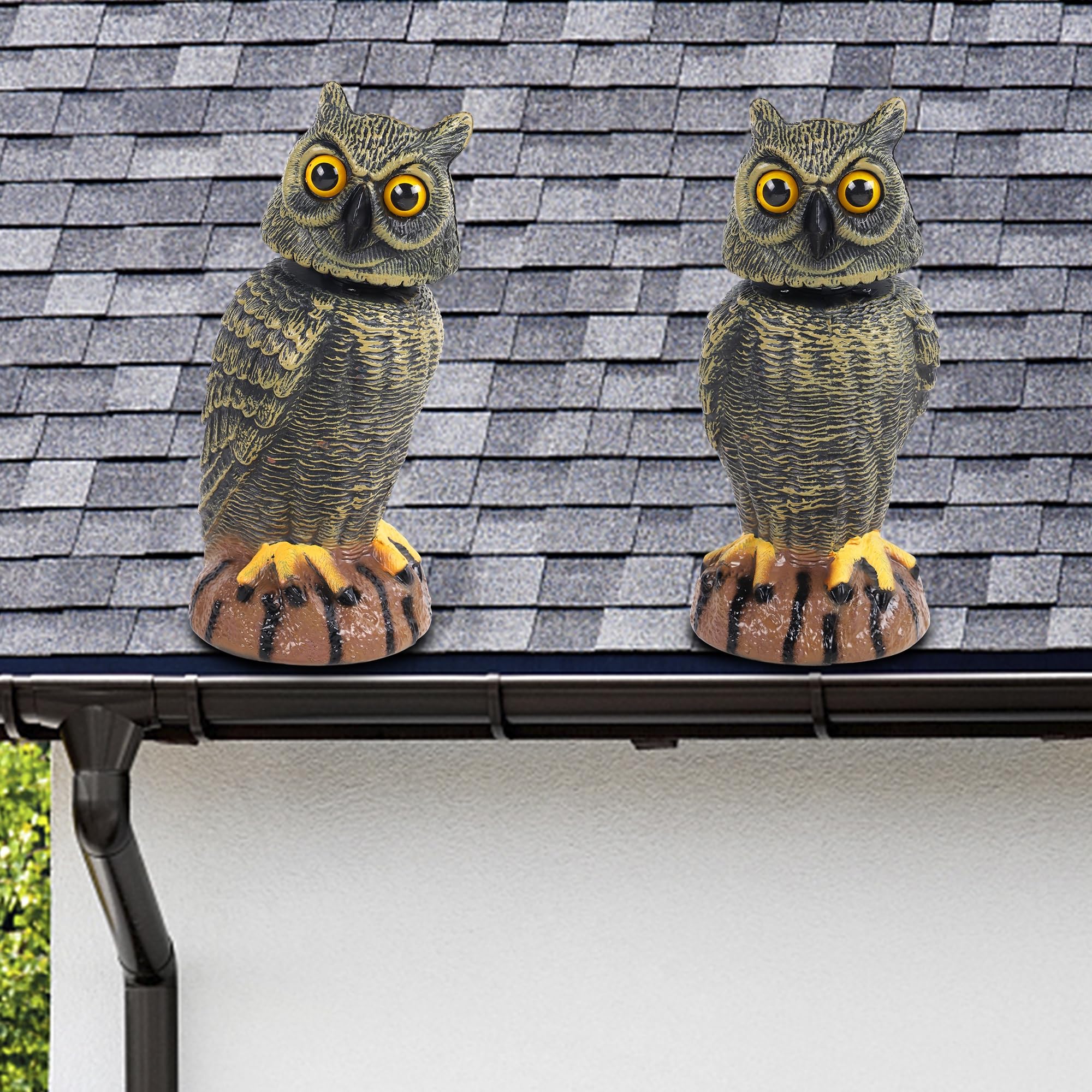 Hausse owl decoy on a pole in outdoor setting