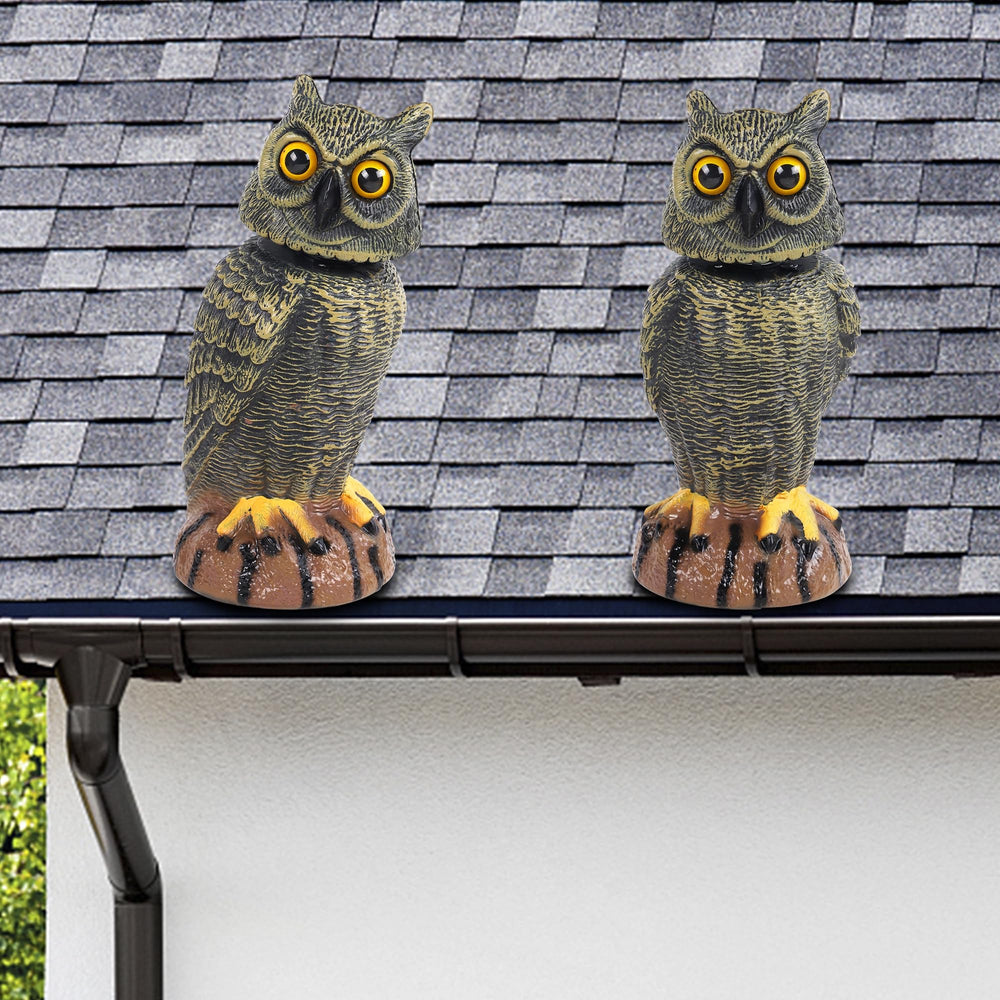 Hausse owl decoy on a pole in outdoor setting