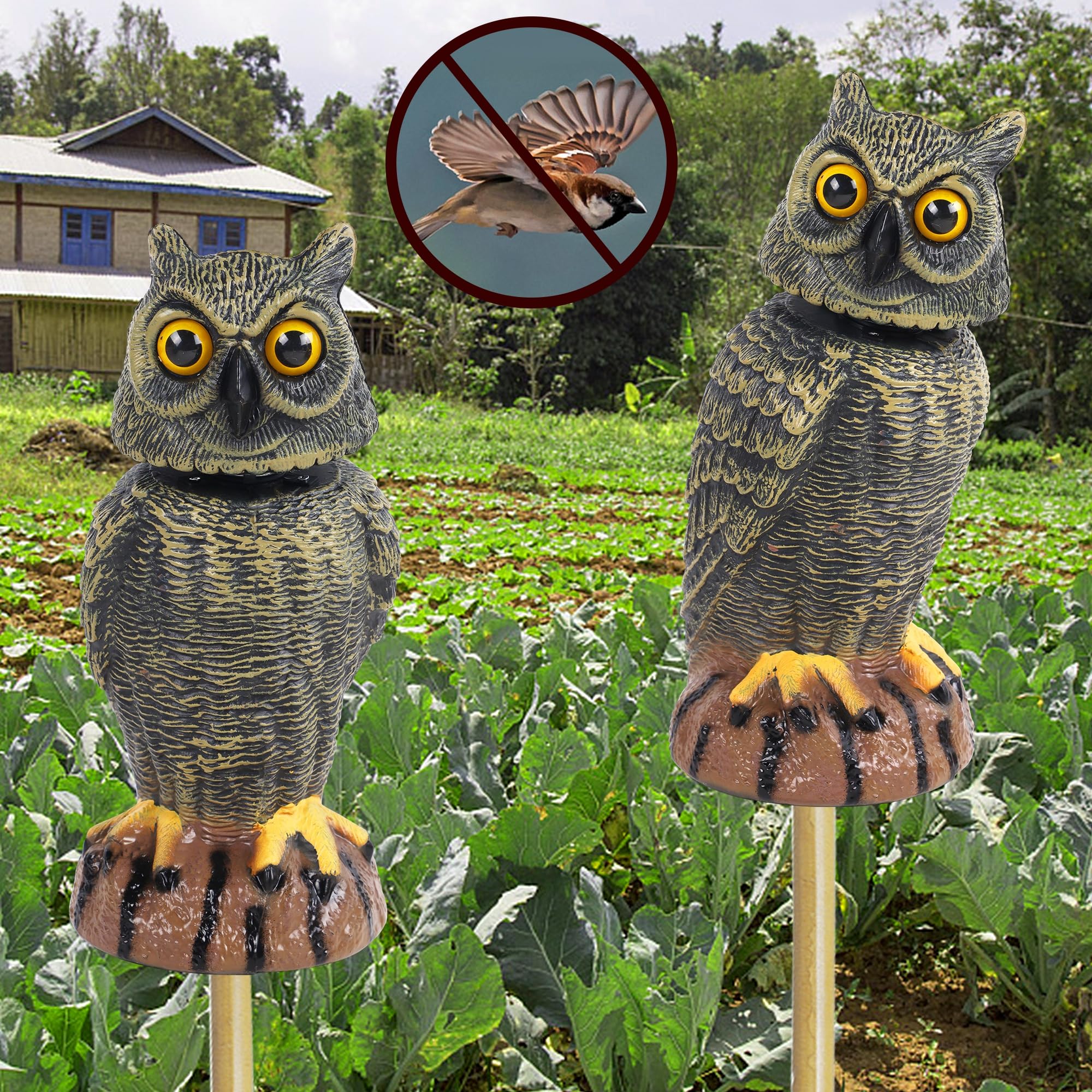 Hausse owl decoy placed on a porch