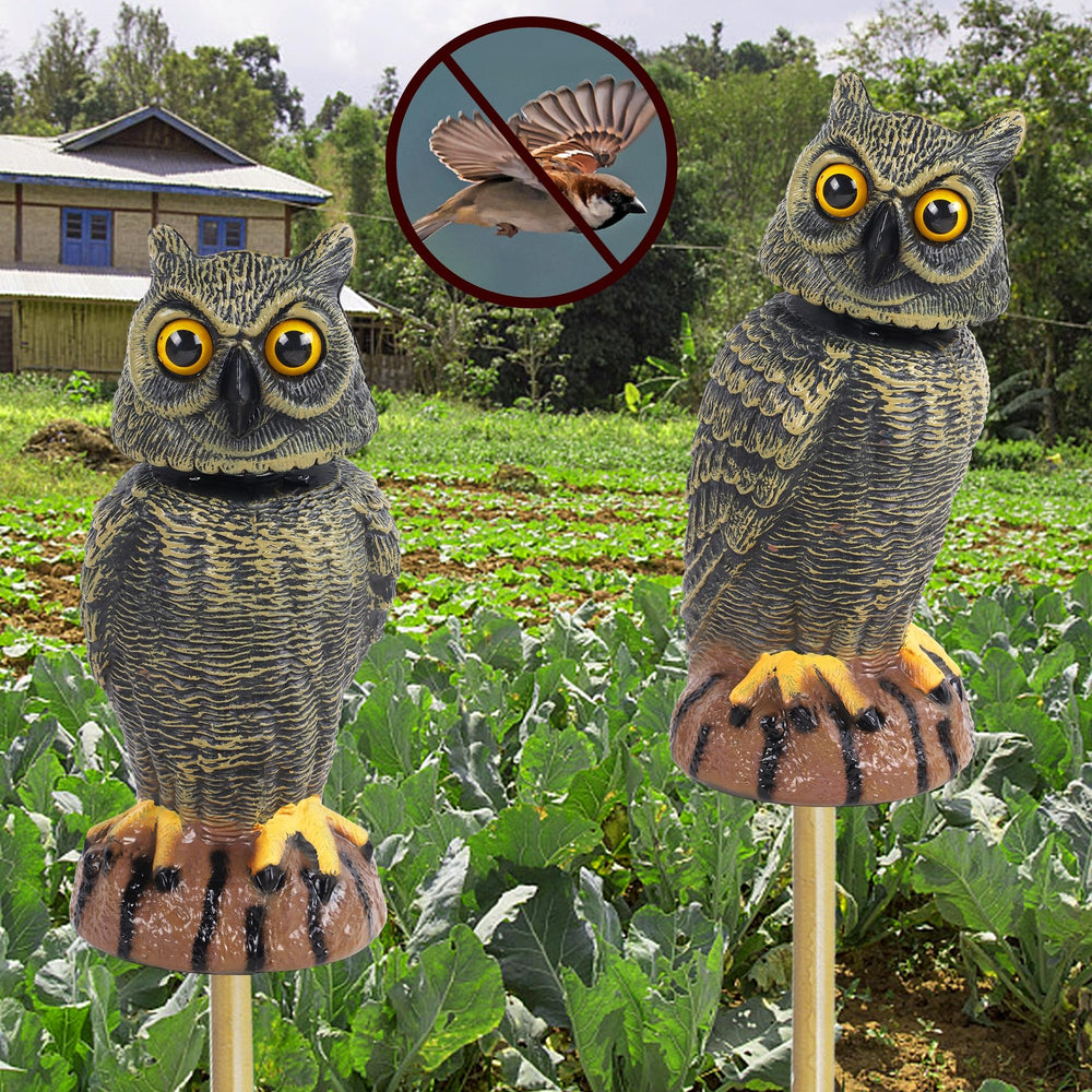Hausse owl decoy placed on a porch