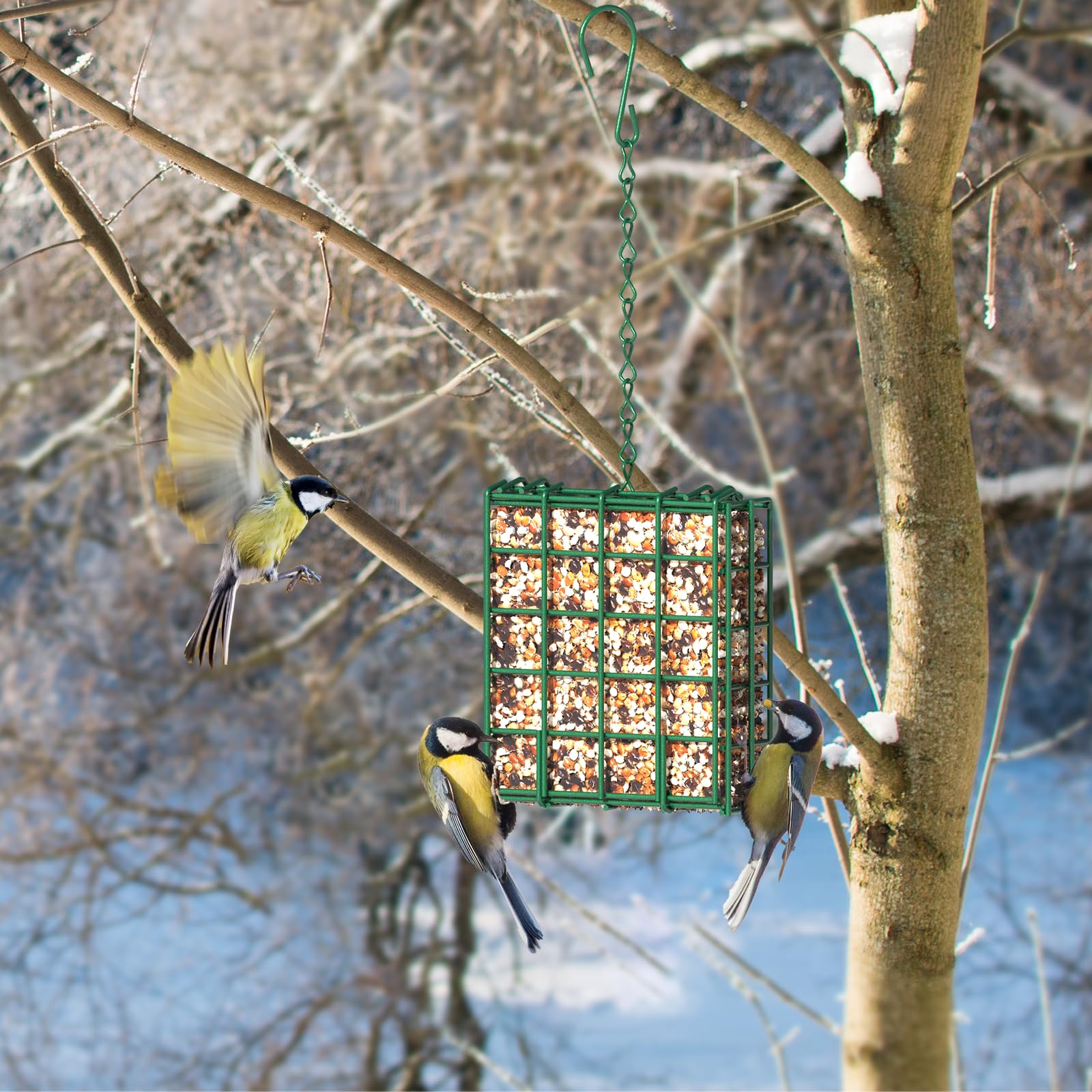 HAVENATURE Bird Feeder close-up of easy-open lid