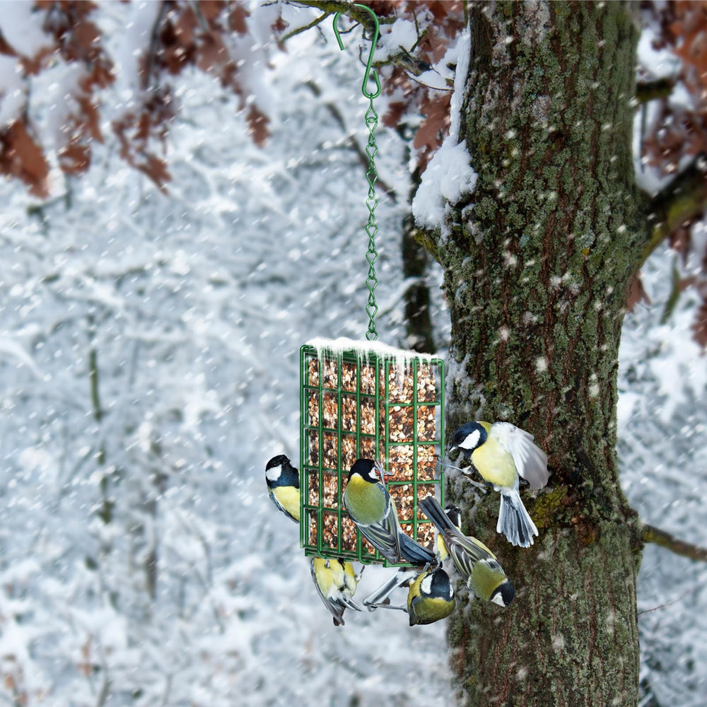 HAVENATURE Bird Feeder hanging in a tree