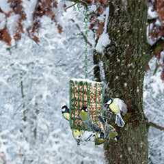 HAVENATURE Bird Feeder hanging in a tree