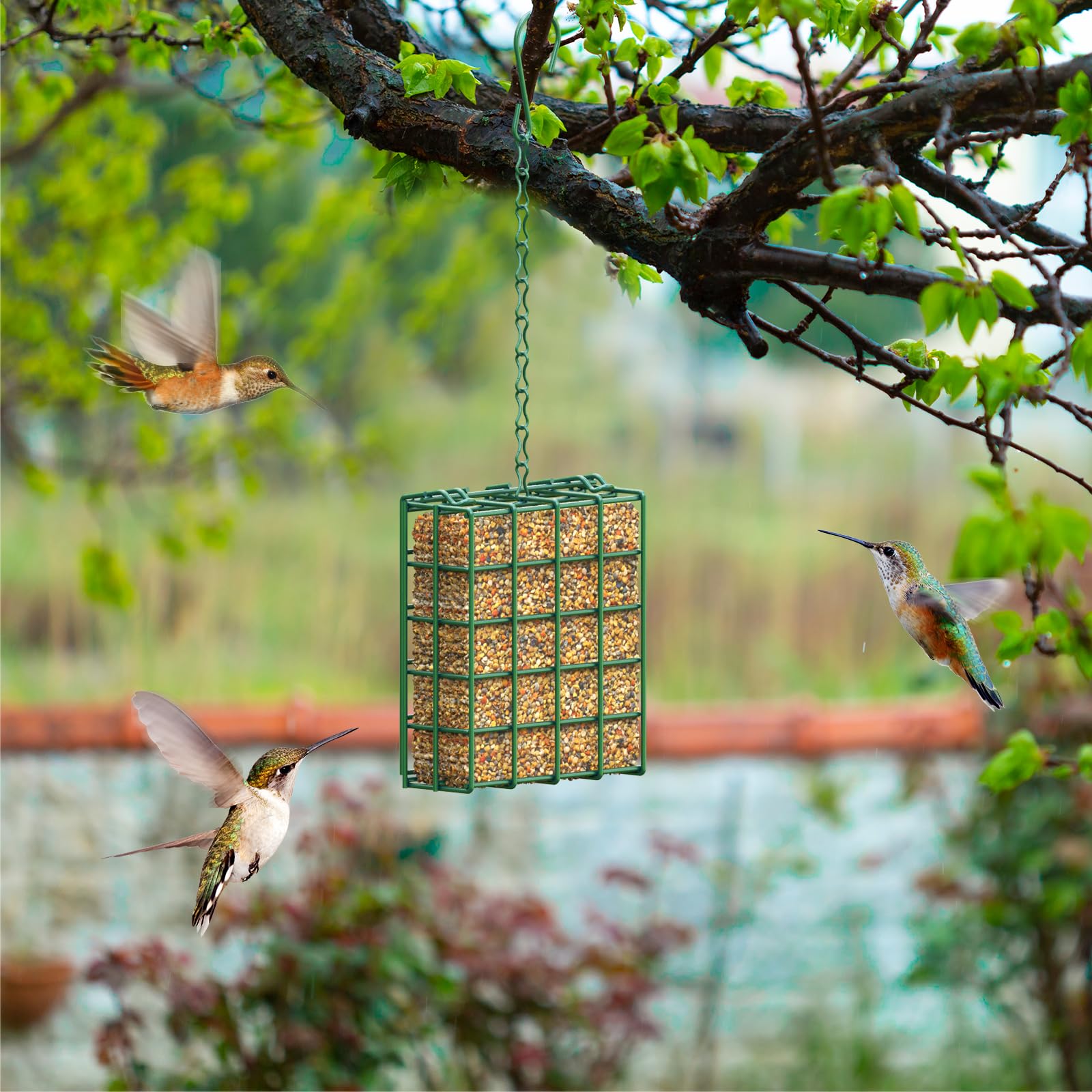 HAVENATURE Bird Feeder with hook and wire included
