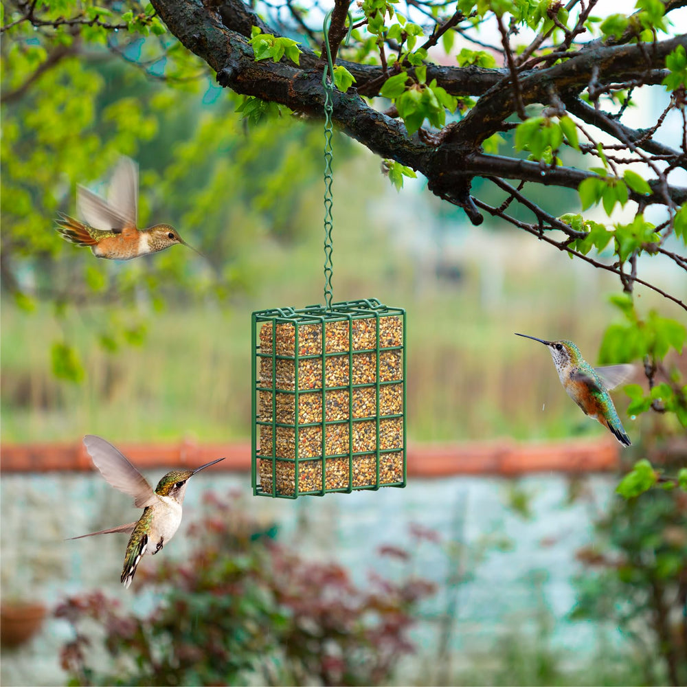 HAVENATURE Bird Feeder with hook and wire included