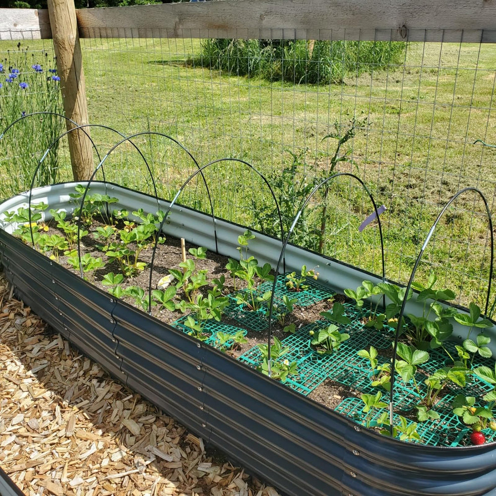 Hdeoops Greenhouse Hoops with plant covers in use