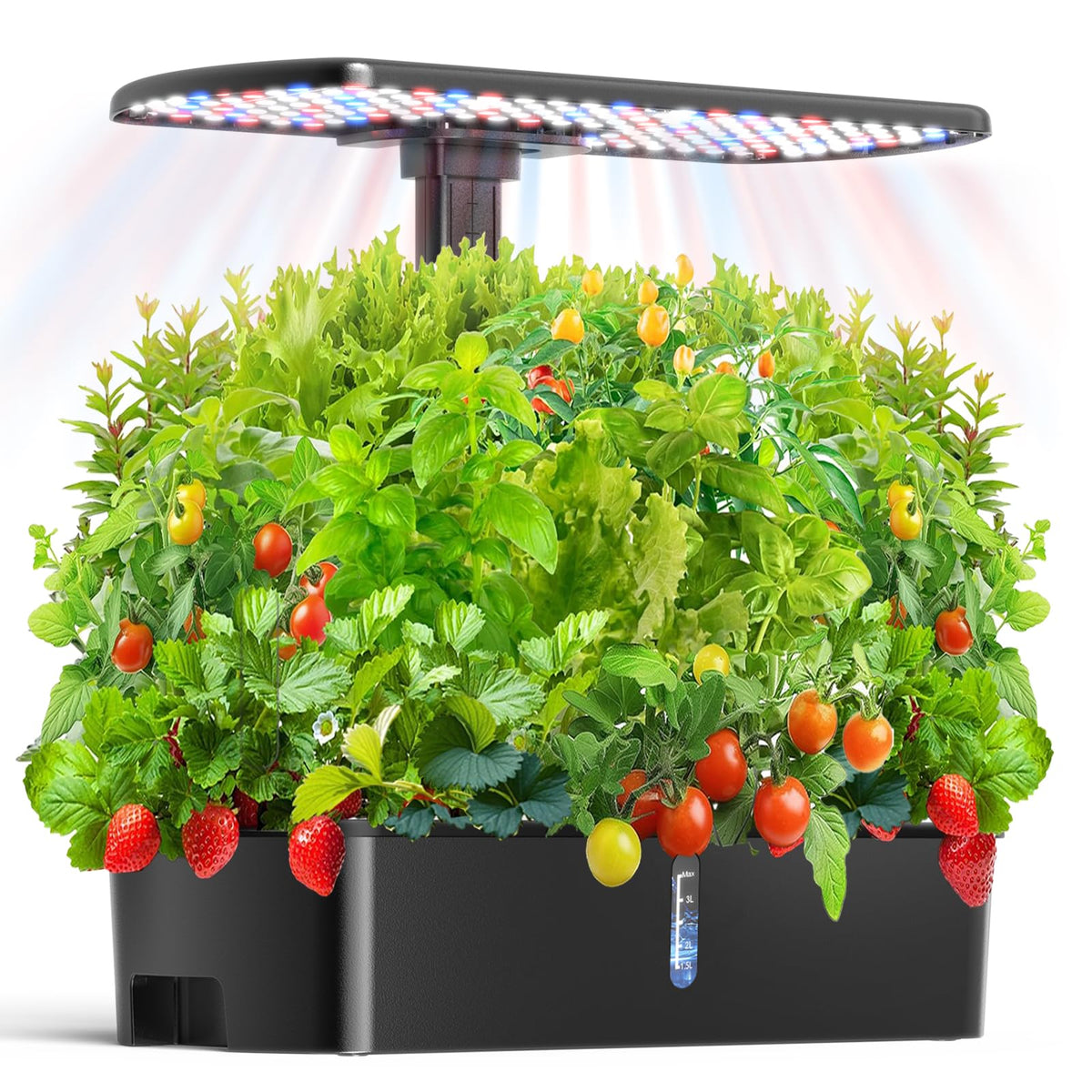 hdroor Hydroponics Growing System Kit front view with 12 pods