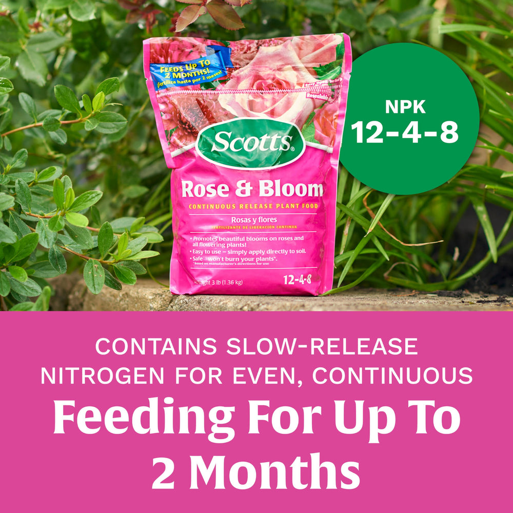 Healthy blooming roses nourished by Scotts Plant Food