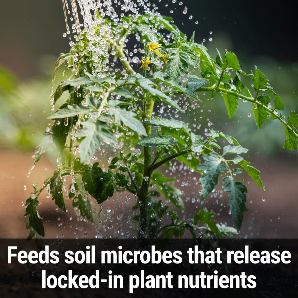 Healthy flowering plants nourished with Messinas plant food