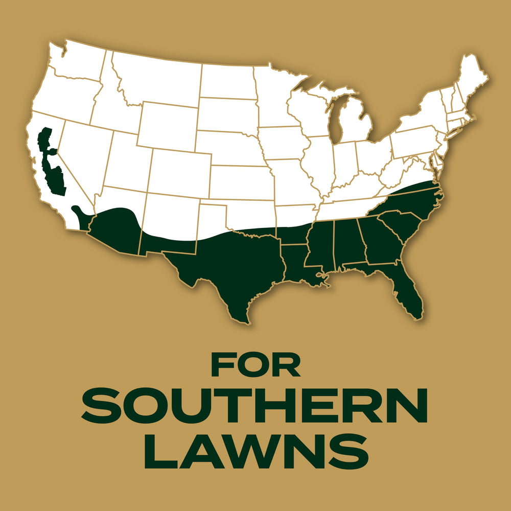 Healthy grass patch after using Scotts EZ Seed Patch & Repair
