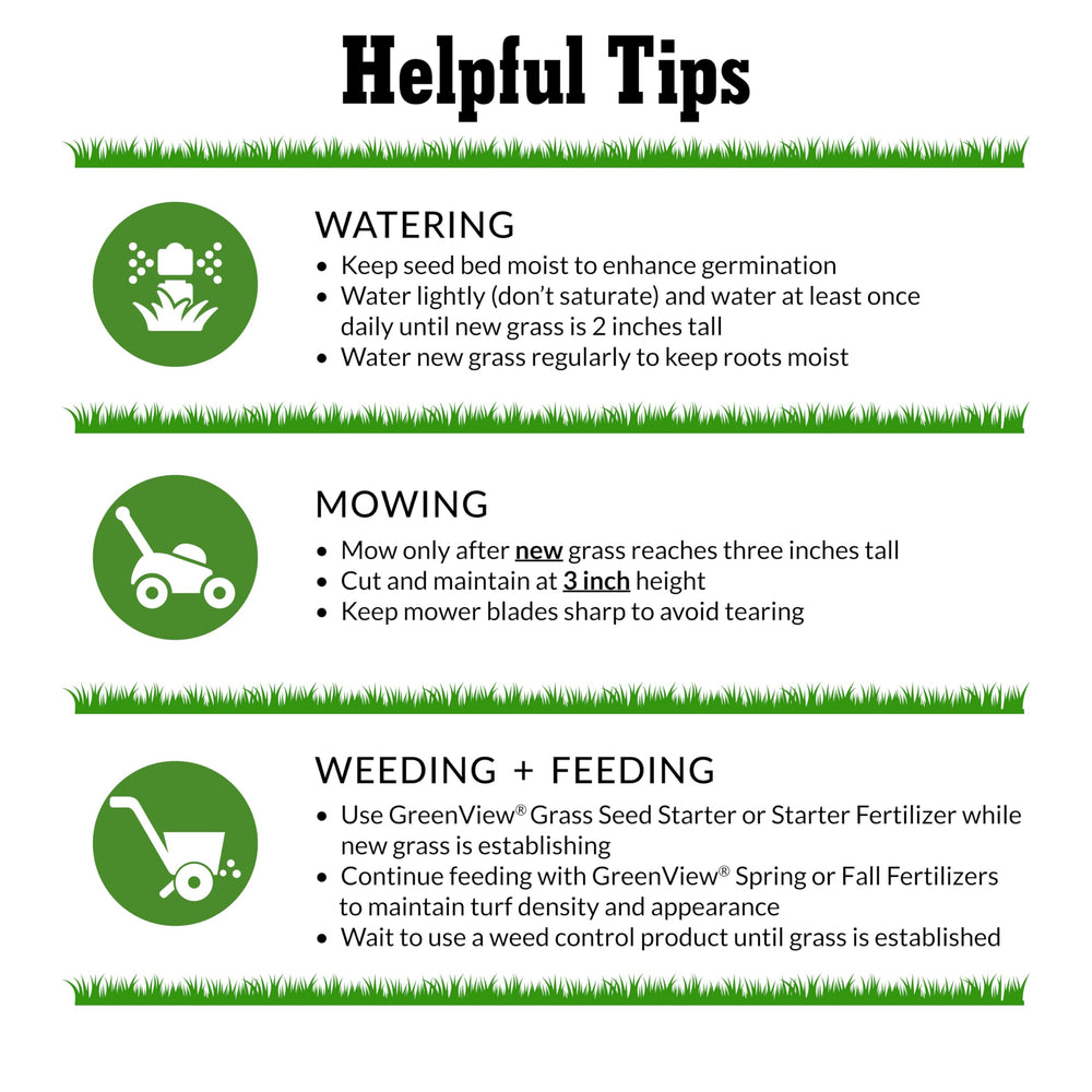 Healthy lawn grown from GreenView Pure Grass Seed