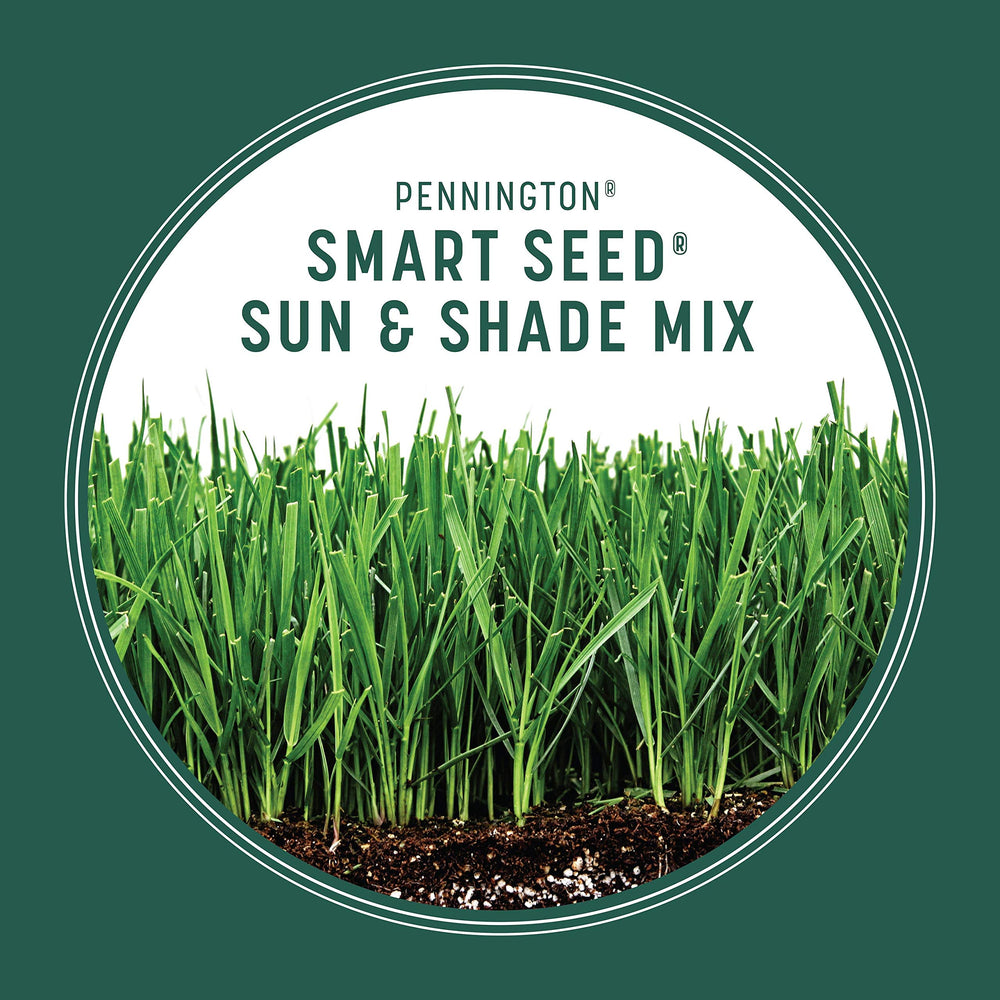Healthy lawn grown from Pennington Smart Seed Sun & Shade Mix
